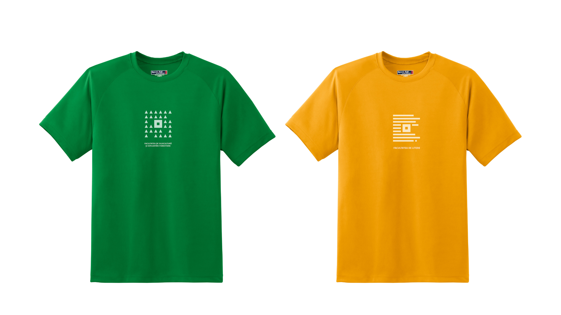Transilvania University branding guidelines 11