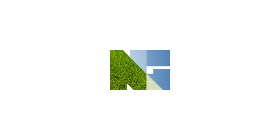 NextGen Management logo 3