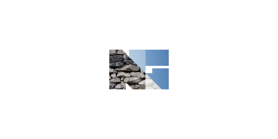 NextGen Management logo 5
