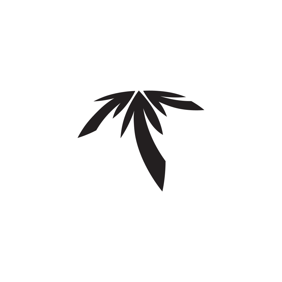 Palm Beach Executive Network – logo design