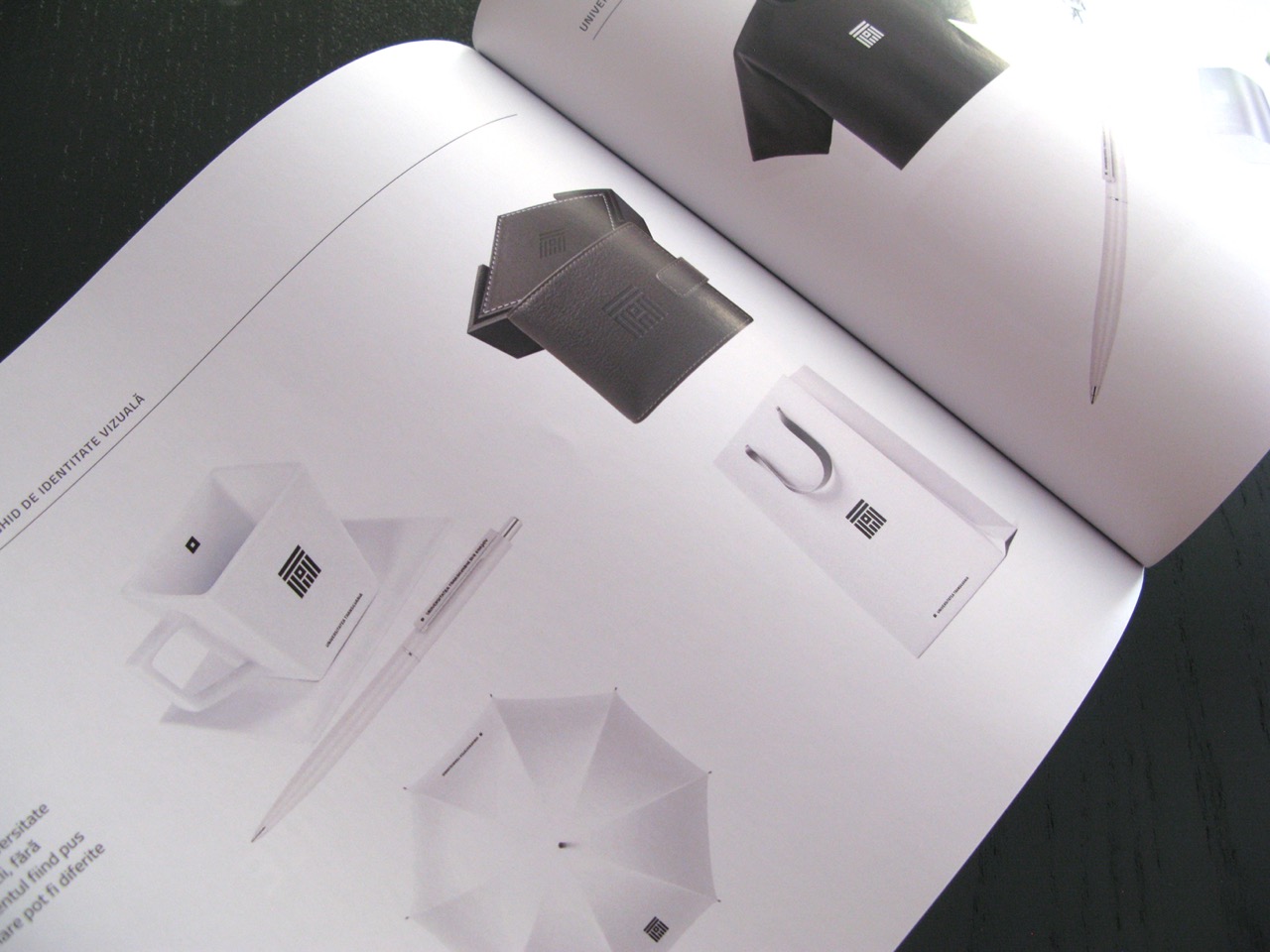 Transilvania University branding guidelines 10