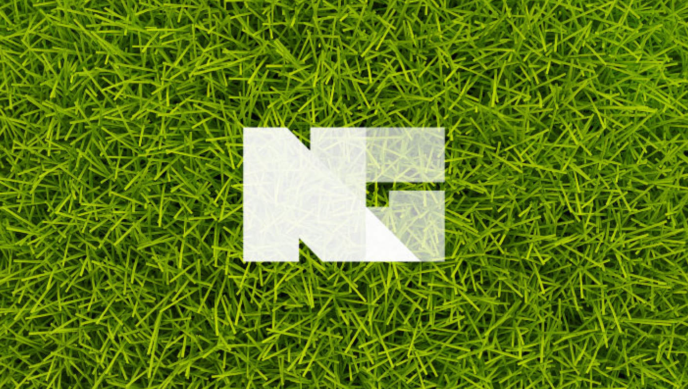 NextGen Management logo 2